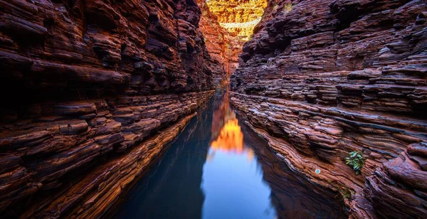 カリジニ国立公園のパノラマ写真 西オーストラリア州 — ストック写真