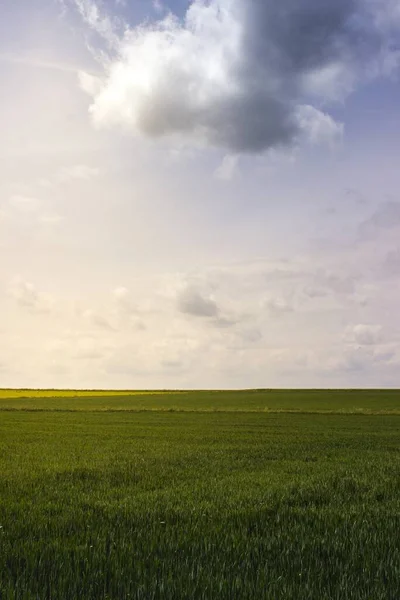 Plano Vertical Hermoso Campo Verde Bajo Cielo Nublado Durante Día —  Fotos de Stock