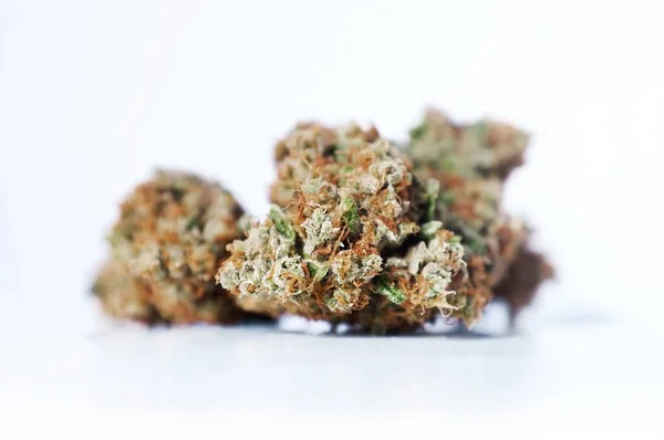 Selektywne Ujęcie Pąków Marihuany Odizolowanych Białym Tle — Zdjęcie stockowe