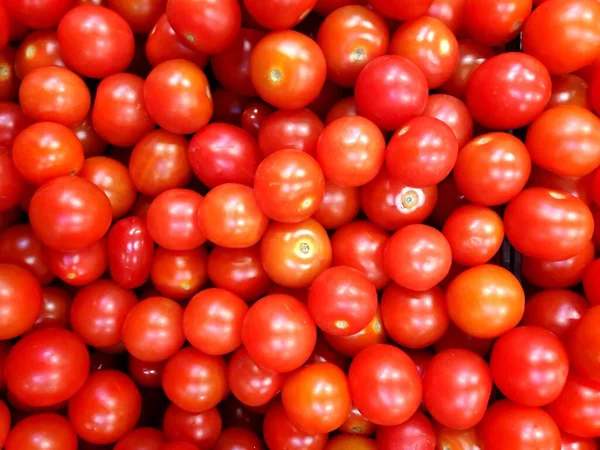 Sebuah Foto Close Tomat Matang — Stok Foto
