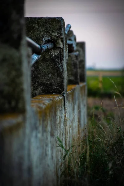 Vertical Shot Old Stone Fence Covered Moss — Stock Photo, Image