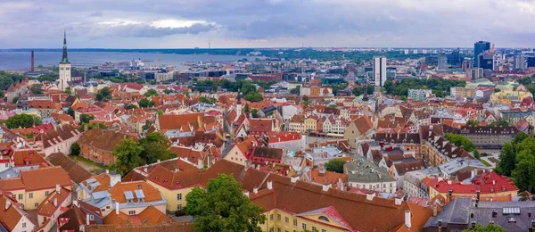 爱沙尼亚塔林的城市景观 四周环绕着大海 天空阴云密布 绿意盎然 — 图库照片