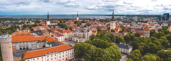 Tiro Panorâmico Tallinn Cercado Pelo Mar Árvores Sob Céu Nublado — Fotografia de Stock