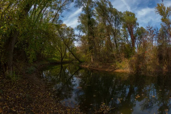 Uma Bela Vista Fisheye Lago Costa Com Árvores Folhas Redor — Fotografia de Stock