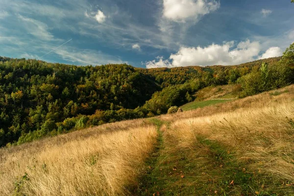 Paysage Collines Couvertes Forêts Verdoyantes Sous Ciel Nuageux Bleu — Photo