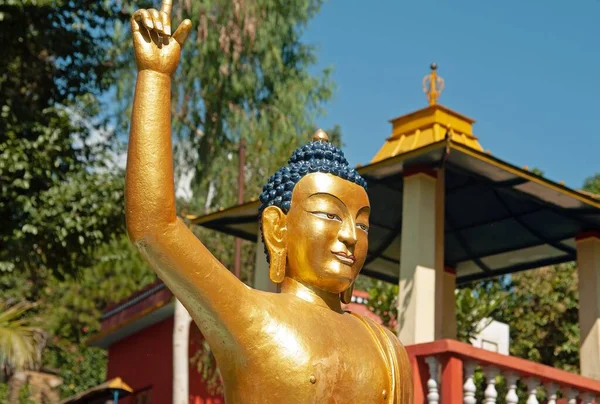 Вершина Золотой Статуи Будды Садах Буддийского Монастыря Матепани Гумба Близ — стоковое фото
