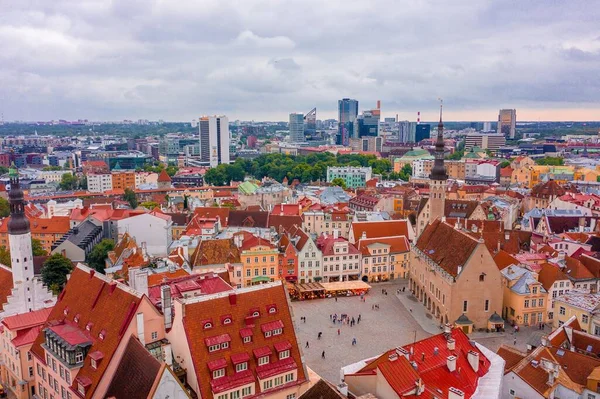 Paesaggio Urbano Tallinn Circondato Dal Verde Edifici Sotto Cielo Nuvoloso — Foto Stock