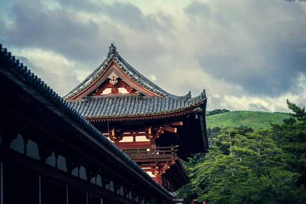 Luftaufnahme Des Nara Parks Japan Unter Bewölktem Himmel — Stockfoto