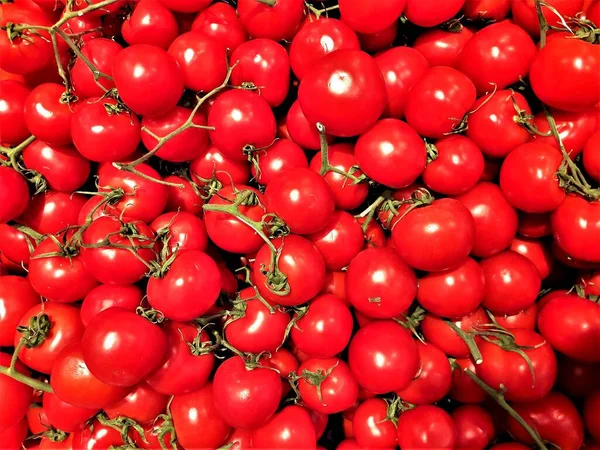 Gros Plan Tomates Mûres — Photo