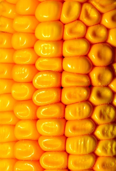 Pionowe Ujęcie Żółtej Kukurydzy — Zdjęcie stockowe