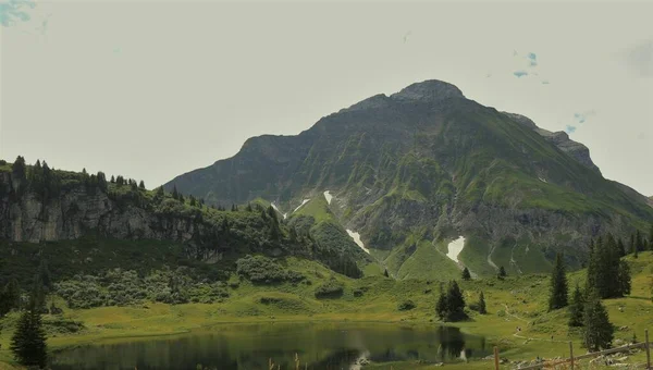 Мальовничий Знімок Зелених Пагорбів Вкритих Пишними Лісами Під Хмарами — стокове фото
