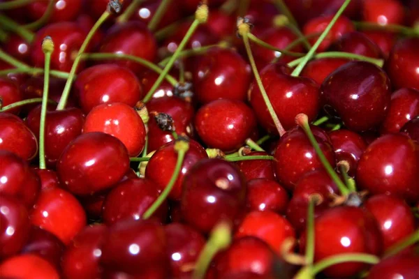 Une Photo Aérienne Cerises Rouges Mélangées Les Unes Aux Autres — Photo