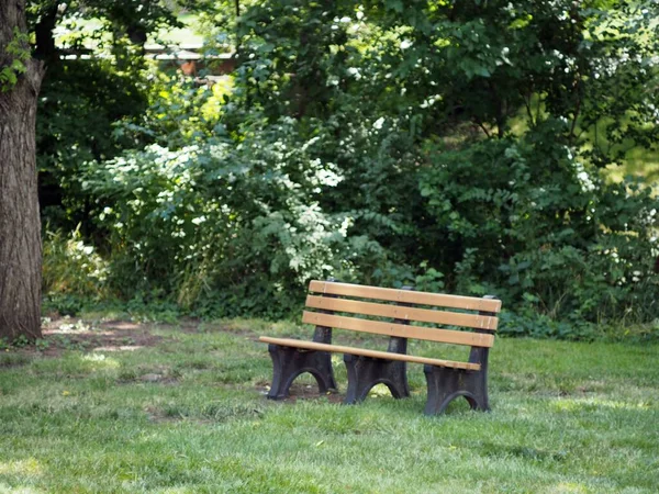 Empty Wooden Bench Park Summer — Stock Photo, Image