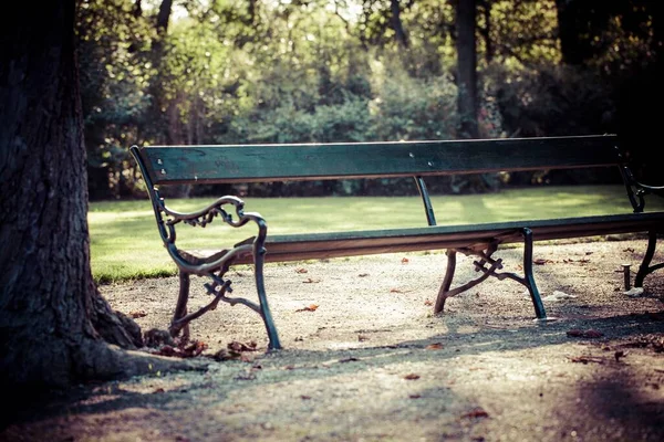 Eine Selektive Fokusaufnahme Einer Alten Holzbank Park Wien — Stockfoto