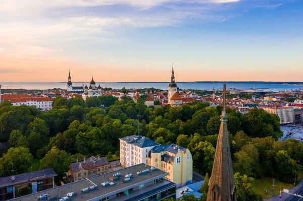 Tallinns Stadsbild Omgiven Hav Och Grönska Solnedgången Estland — Stockfoto
