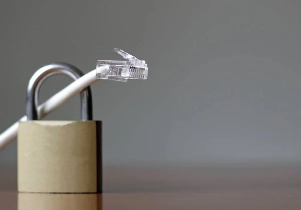 灰色の背景に南京錠にLanケーブルの選択的な焦点 インターネットセキュリティの概念 — ストック写真