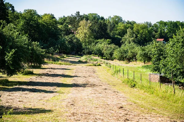 Een Betoverende Opname Van Natuur Een Plattelandsgebied — Stockfoto