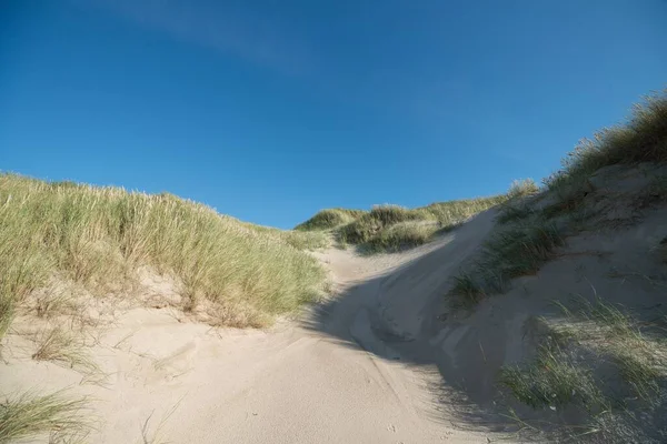 青空の下で美しい砂の丘のショット — ストック写真