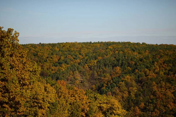 Een Landschap Shot Van Prachtige Bomen Bedekt Met Herfstgouden Kleuren — Stockfoto
