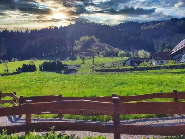 Natura Pădurea Neagră Germania Granița Franța Europa — Fotografie, imagine de stoc