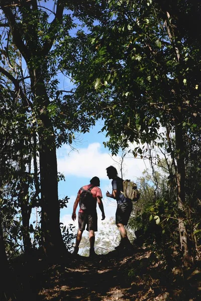 Конвагійська Парк Австралія Серпня 2012 Року Двоє Молодих Ескуіоністів Йдуть — стокове фото