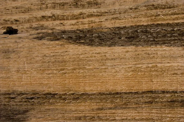 木制表面结构细节的特写镜头 — 图库照片