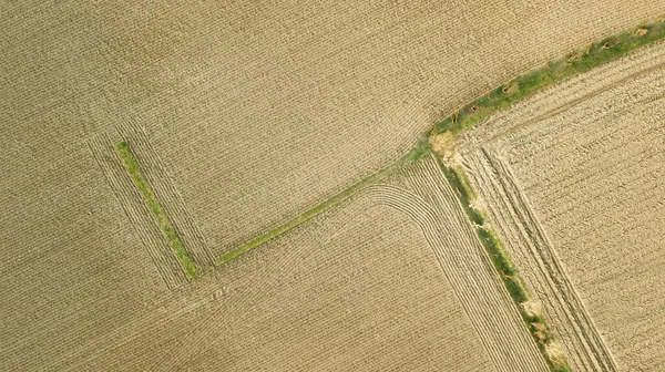 Güneşin Altındaki Bulanık Bir Tarlanın Hava Görüntüsü — Stok fotoğraf