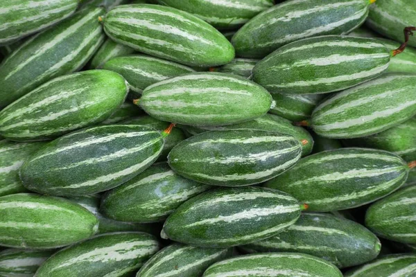 Eine Nahaufnahme Aus Dem Hohen Winkel Von Vielen Geernteten Zucchinis — Stockfoto