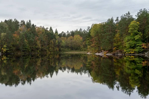 Прекрасний Знімок Осінніх Дерев Відображення Озері — стокове фото