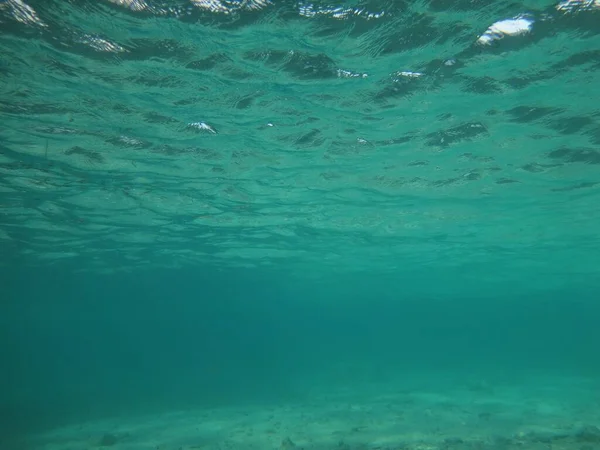 Une Belle Vue Sur Des Paysages Sous Marins Tranquilles — Photo