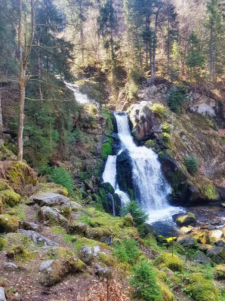 Příroda Černém Lese Krajina Německu — Stock fotografie