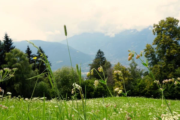 Una Toma Ángulo Bajo Los Alpes Ciudad Merano Hafling — Foto de Stock