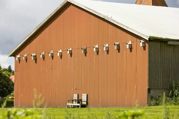 Beautiful Shot Barn Sunny Day — Stock Photo, Image