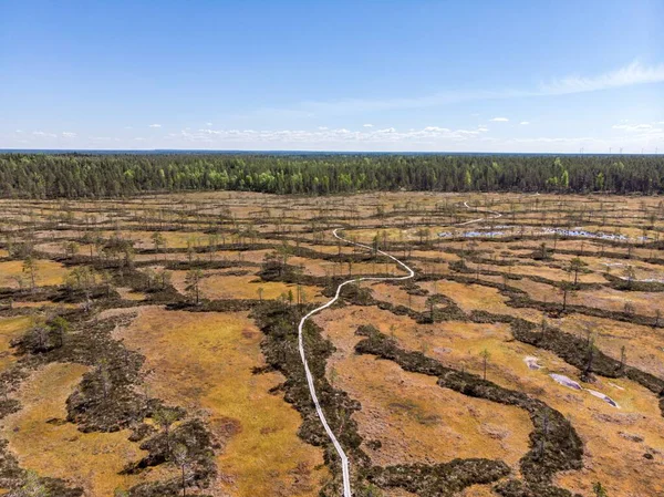 Een Landschap Uit Het Kauhaneva Pohjankangas Nationaal Park Finland Een — Stockfoto