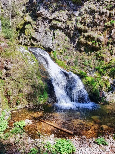 Nemzeti Park Elzászban Franciaország Németország Területe Európa — Stock Fotó