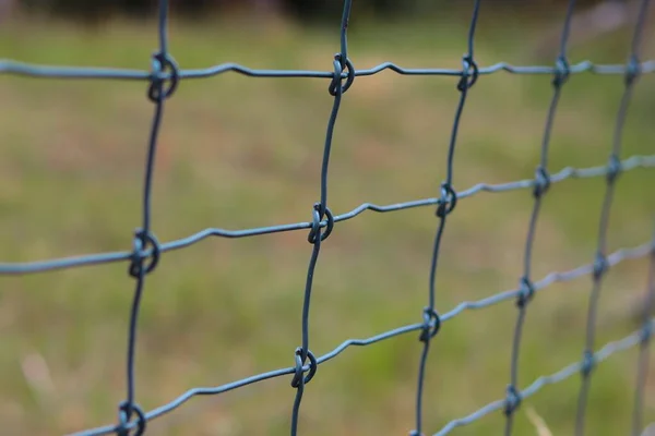 Een Close Shot Van Blauwe Metalen Hek — Stockfoto