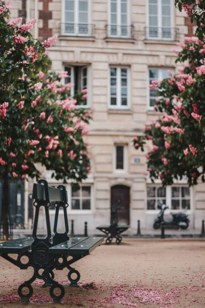 Een Verticaal Shot Van Een Tuin Van Mooie Rose Bloemen — Stockfoto
