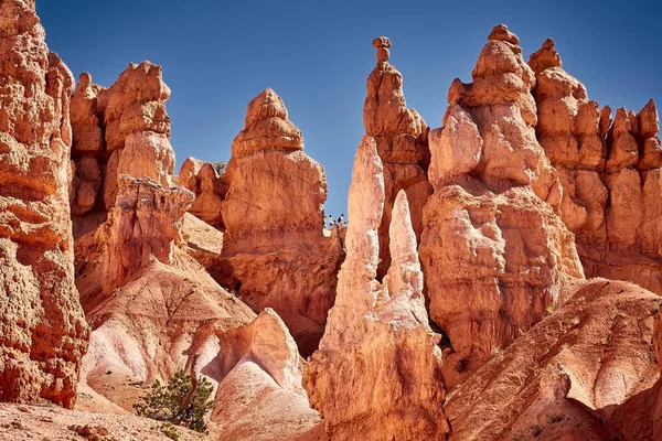 Hermoso Paisaje Paisaje Cañón Parque Nacional Bryce Canyon Utah —  Fotos de Stock