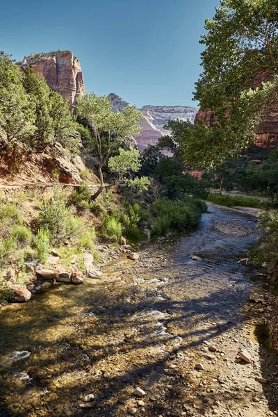 Ett Soligt Landskap Zion National Park Ligger Utah Usa — Stockfoto