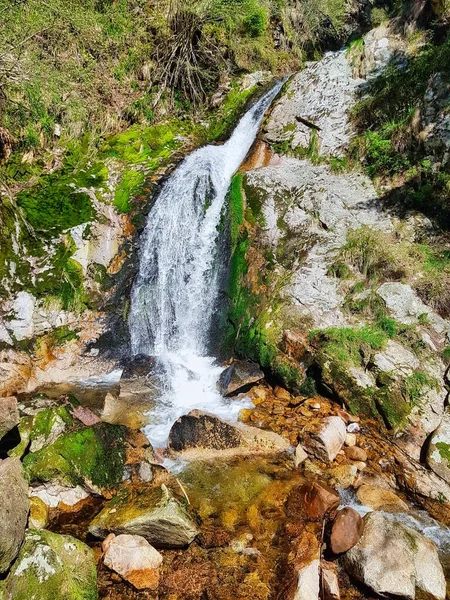 Parc National Alsace France Allemagne Zone Europe — Photo