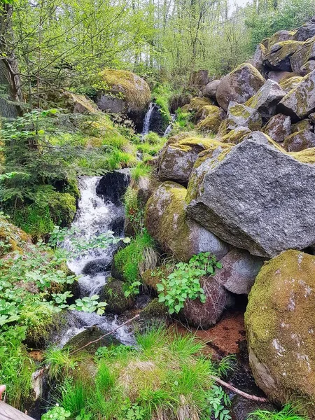 Nemzeti Park Elzászban Franciaország Németország Területe Európa — Stock Fotó