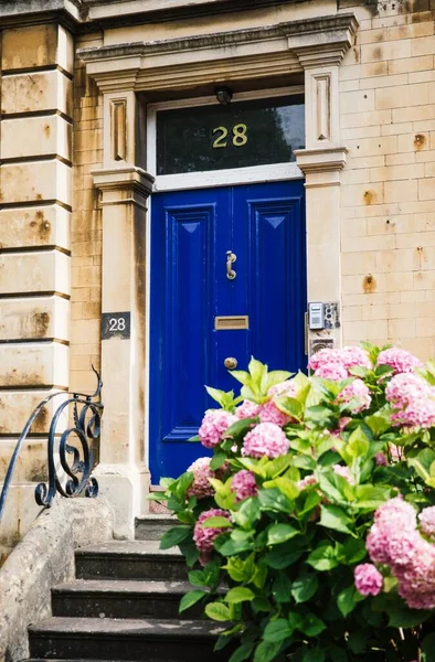 Bristol イギリス 2019年8月10日 ピンクの花の美しい青い扉 — ストック写真