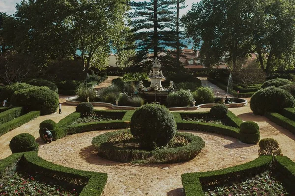 Eine Schöne Aufnahme Der Gärten Des Palacio Ajuda Portugal — Stockfoto