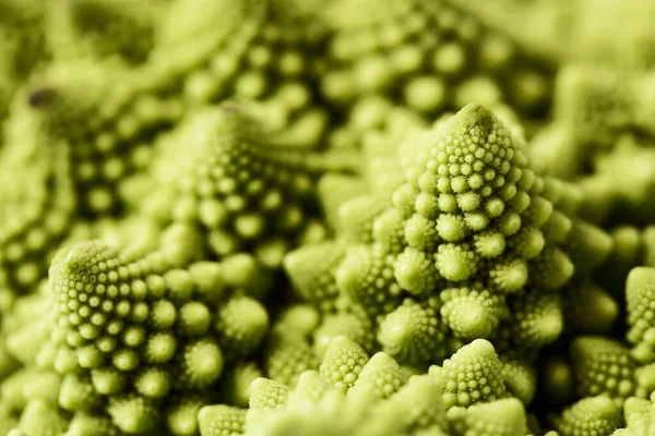 Yeşil Romanesco Brokolisinin Makro Pozu — Stok fotoğraf