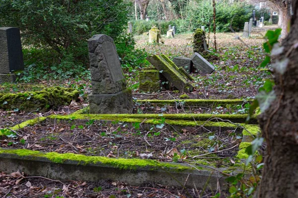 Een Eye Level Shot Van Mossy Gravestones Een Begraafplaats — Stockfoto