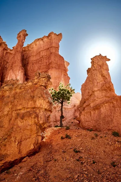 Krásná Scenérie Kaňonu Národním Parku Bryce Canyon Utah Usa — Stock fotografie