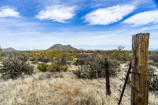 Scottsdale Desert Arizona Usa — Stock Photo, Image