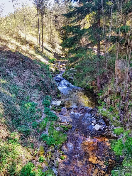 黒の森の自然 ドイツの風景 ヨーロッパ — ストック写真