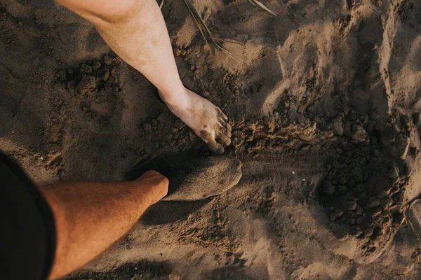 Uma Vista Superior Macho Com Uma Meia Fêmea Areia Uma — Fotografia de Stock