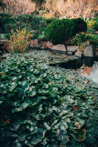 日本の伝統的な様式で魅力的な自然の美しい景色アデレード姫路庭園 — ストック写真